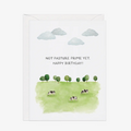 Funny Cow Pasture Birthday Card