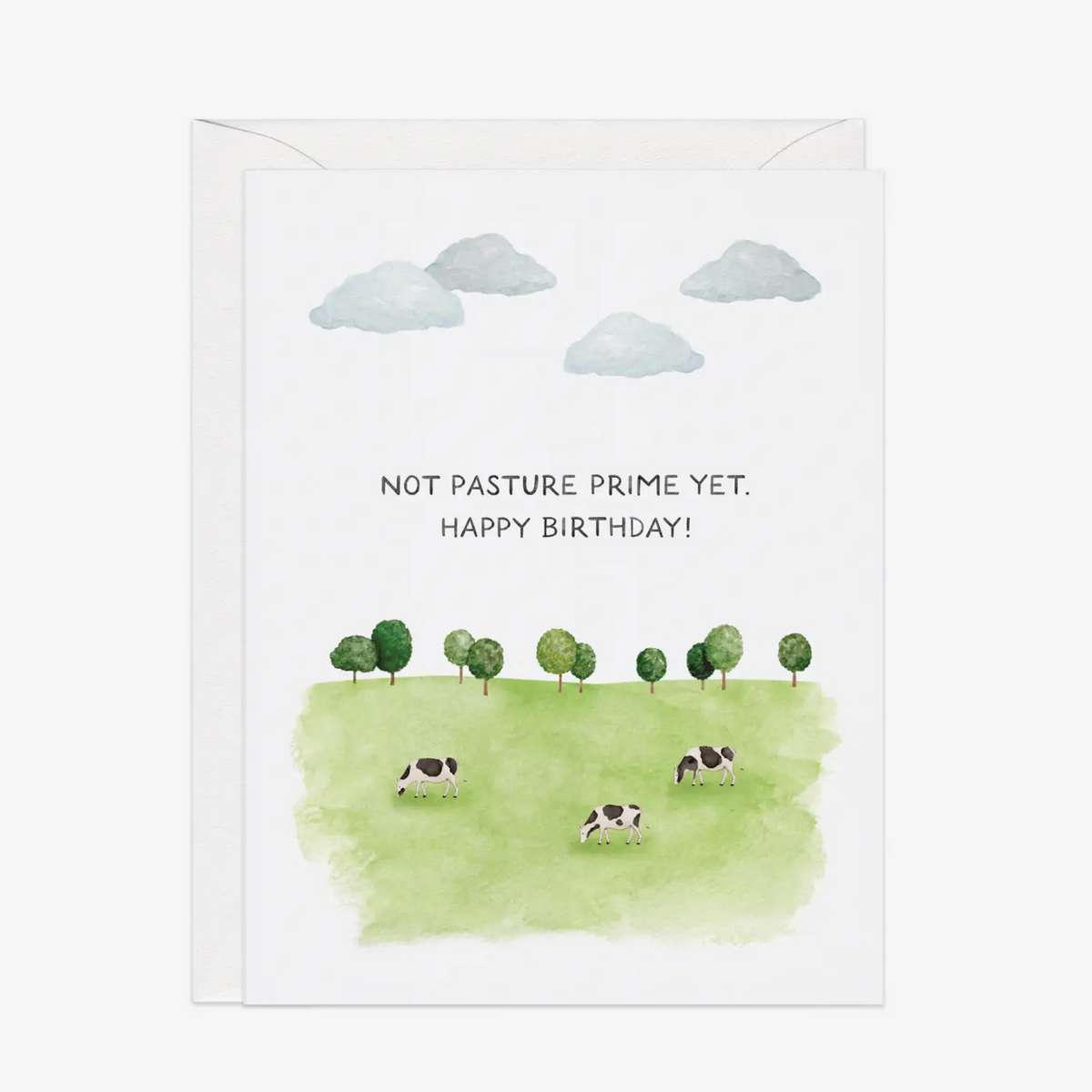 Funny Cow Pasture Birthday Card