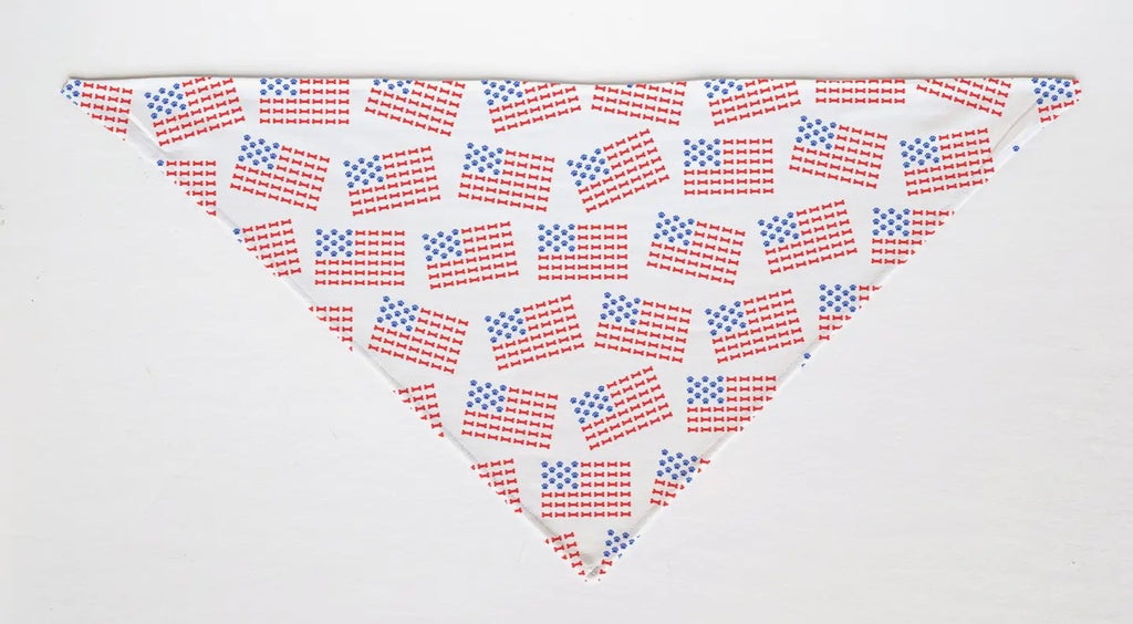 USA Paw & Bone Flag Dog Bandana