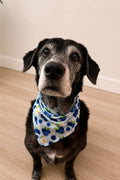 Blueberry & Flower Tie Pet Bandana