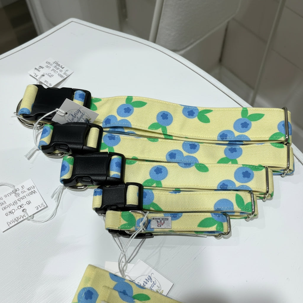 Blueberries Adjustable Collar