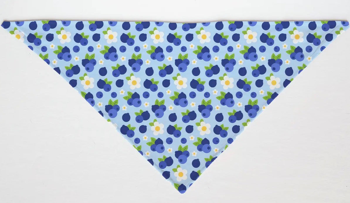 Blueberry & Flower Tie Pet Bandana