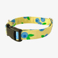 Blueberries Adjustable Collar