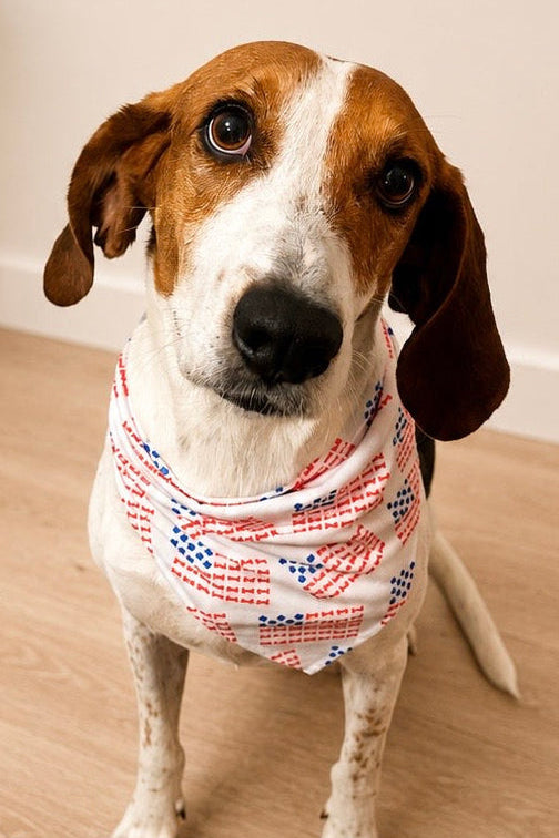 USA Paw & Bone Flag Dog Bandana