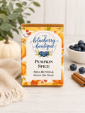 Pumpkin Spice Soap